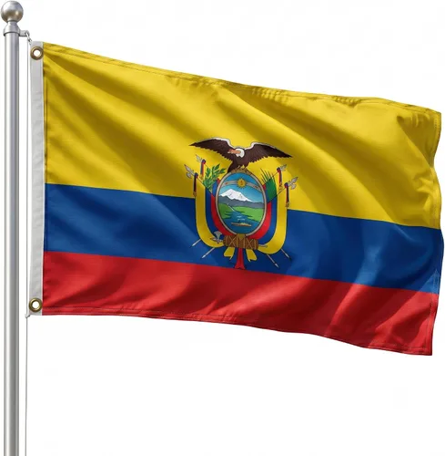 Vista 147 de DMSE - Bandera nacional beninesa beninesa de la República de África Occidental, 2 x 3 pies, 100 % poliéster, 100 % poliéster, resistente a los rayos