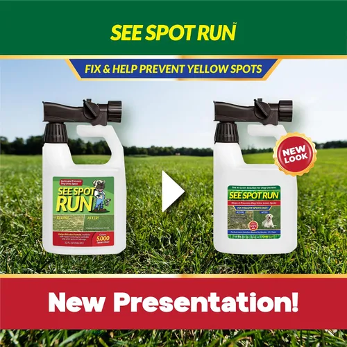 Vista 5 de Producto neutro See Spot Run