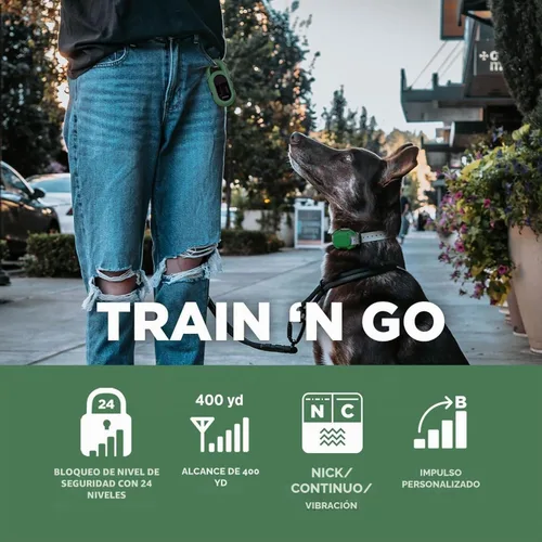 Vista 2 de Dogtra CUE Verde – Collar electrónico para entrenamiento de perros con control remoto – Entrenamiento hecho fácil para dueños de perros cotidianos