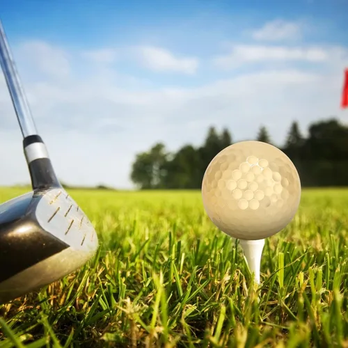 Vista 9 de 4 pelotas de práctica de golf chapadas en oro, doble capa, portátiles, profesionales, de alta visibilidad, duraderas, fáciles de llevar, regalo