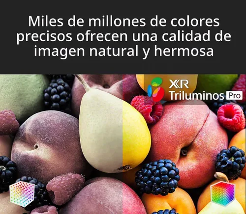Vista 10 de Sony 48 pulgadas A90K BRAVIA XR 4K HDR TV OLED Smart Google TV (XR-48A90K)