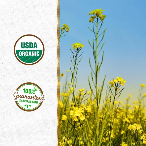 Vista 3 de Cover Crop Yellow Mustard - Cobertura de 1000 pies cuadrados Amarillo mostaza