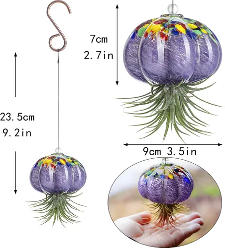 Vista 6 de H&D HYALINE & DORA Terrario de cristal soplado a mano colgante con diseño de medusa de aire para plantas de aire, decoración para jardín, porche