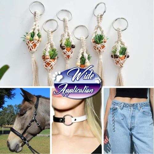 Vista 5 de FANDAMEI Anillo O de metal, 50 piezas de plata multiusos de metal para macramé, camping, correas de perro, hardware, bolsas y más proyectos