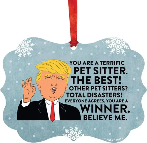 Vista 105 de Andaz Press Presidente Donald Trump Fancy Frame Recuerdo Adorno de Navidad Regalo de broma Ejecutivo de Cuenta, 1 paquete, Divertidas Ideas