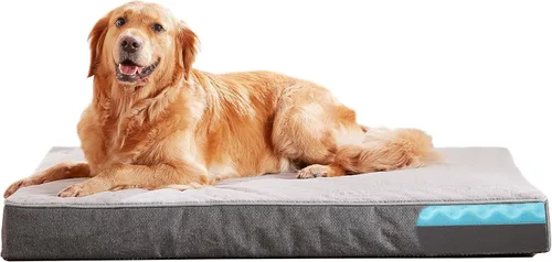 Vista 20 de Cama refrescante para perros grandes, cama ortopédica de espuma viscoelástica para mascotas con funda extraíble lavable, ideal para perros Rosa