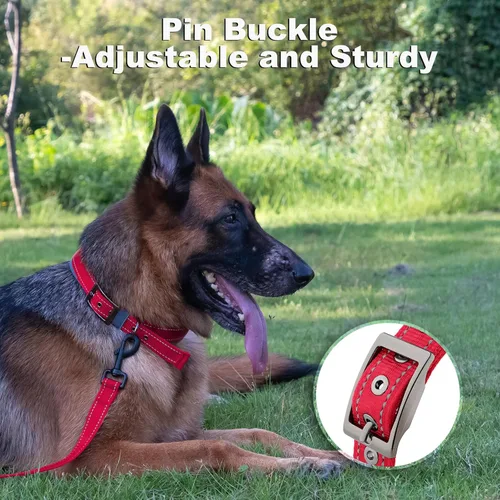 Vista 3 de Collar de perro personalizado, nombre bordado y número de teléfono, collar de nailon reflectante personalizado para mascotas, ajustable
