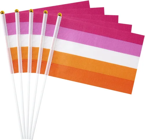Vista 12 de GentleGirl Paquete de 12 banderas de arco iris del orgullo asexual, pequeñas banderas de mano gay LGBT Festival Fiesta Desfiles Decoraciones