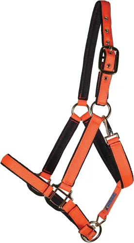 Vista 11 de Dura-Tech Cabestro de caballo de nailon totalmente acolchado Cabestro para caballo diseñado para evitar rozaduras Corona y bordillo de caballo