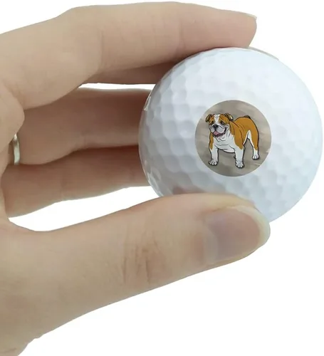 Vista 2 de GRAPHICS & MORE Paquete de 3 pelotas de golf de bulldog inglés para perros