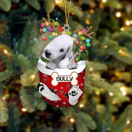 Vista 124 de IZI POD Affenpinscher Adorno de Navidad personalizado para perro, adorno de bolsillo de nieve para perro para árbol de Navidad, adorno acrílico