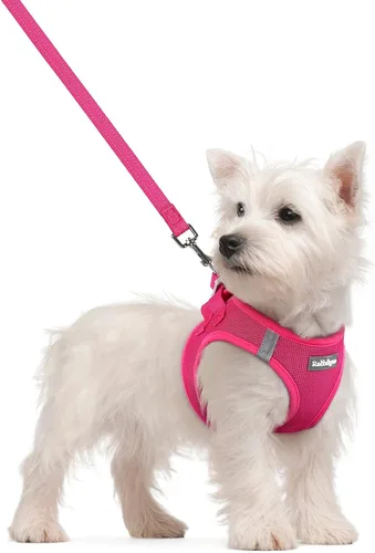 Vista 169 de rabbitgoo Arnés para perro de tamaño pequeño y juego de correa, chaleco Cachorros de manzana