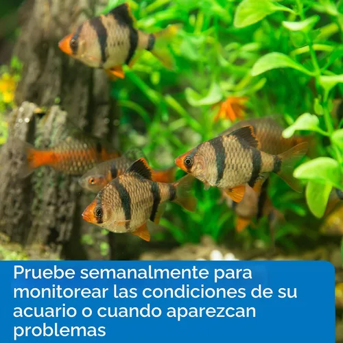 Vista 5 de API Kit de prueba de fosfato para agua dulce y salada, 64 onzas