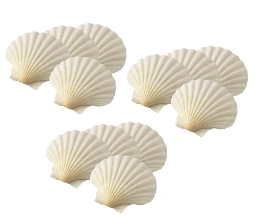 Vista 10 de Maine Man Conchas naturales para hornear, cosechadas de Irlanda y Escocia, para hornear, mariscos, aperitivos y postres, 4 pulgadas, juego de 4