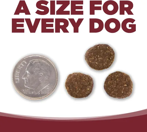 Vista 6 de NutriSource Alimento seco para perros, carne de res y arroz, 4 libras Apoyo digestivo probiótico y prebiótico, piel y pelaje saludables, sin trigo