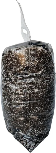 Vista 3 de rePotme Tierra para Suculentas (Bolsa Estándar, Cactus de Navidad)