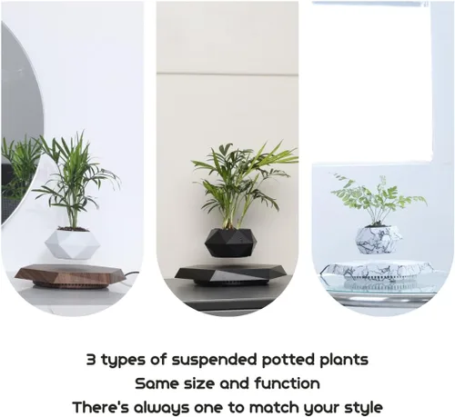 Vista 7 de MOOCCI Maceta levitante flotante, planta en maceta, regalo ideal para el día del padre, compañeros de clase para Halloween, Acción de Gracias