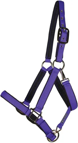 Vista 7 de Dura-Tech Cabestro de caballo de nailon totalmente acolchado Cabestro para caballo diseñado para evitar rozaduras Corona y bordillo de caballo