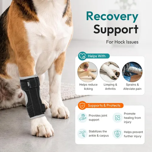 Vista 5 de Dog Leg Brace for Hock Joint, Dog Splint Ankle for Arthritis, Sprains S Negro