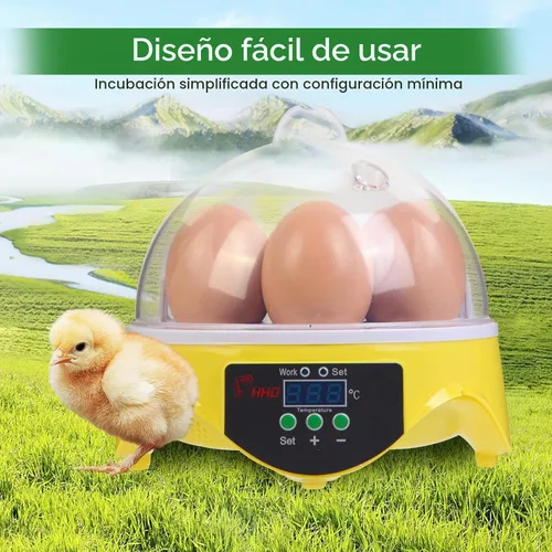 Vista 5 de 360° View Incubadora de aves de corral de 7 huevos para incubar huevos de pollo, pato, ganso, loro y codorniz, con control de temperatura