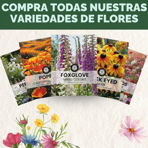 Vista 6 de Foxglove - Colores mixtos - 2,000 semillas para plantar - Temporada 2026 - Bolsa de 1/2 onza
