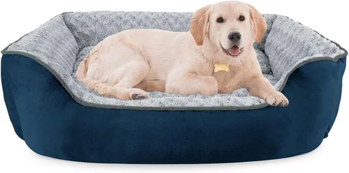 Vista 34 de JOEJOY - Cama rectangular para perros grandes, medianos y pequeños - Cama de sofá ortopédica lavable, suave y transpirable para cachorros