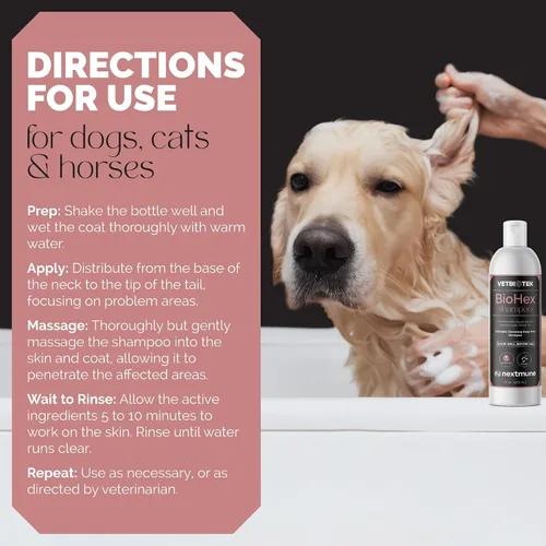 Vista 4 de BioHex - Champú para perros, gatos y caballos, limpieza profunda sin jabón, 16 onzas Chlorhexidine & Miconazole, MicroSilver BG, Ceramide 3