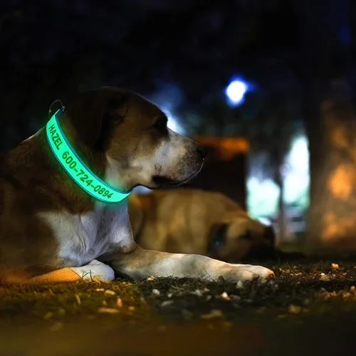 Vista 4 de Collares de perro personalizados reflectantes Wlitchi, collares de identificación luminosa personalizados bordados con nombre y número de teléfono