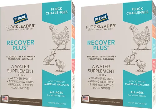 Vista 9 de FlockLeader Recover 911, Suplemento de Agua Probiótico para Estrés Severo para Pollos con Electrolitos, Prebióticos y Orégano, para la Muda, Clima