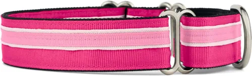 Vista 11 de If It Barks Collar Martingala de 1 pulgada con hebilla de liberación rápida, ajustable, fabricado en Estados Unidos, pequeño, arándano