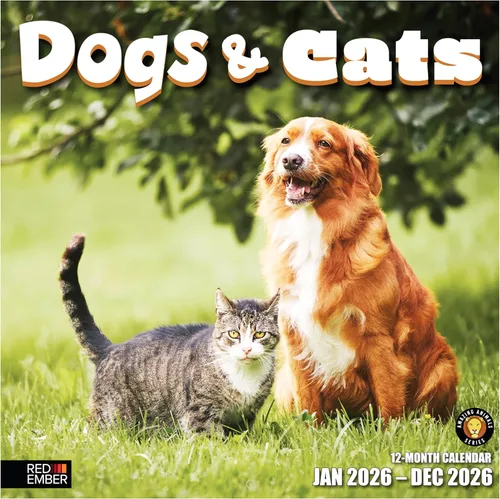 Vista 41 de RED EMBER Calendario de pared Doggy Disasters 2027 de 12 meses 01 - Perros traviesos