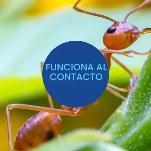 Vista 3 de Bayer Advanced 502832 Fire Ant Killer Dust veneno para hormigas, 16 onzas Mata a la reina - Destruye hasta 130 montículos - Asesino de hormigas al