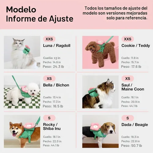 Vista 4 de VETRESKA Flora - Juego de arnés para perro, correa y collar para perro, arnés sin tirones, talla S