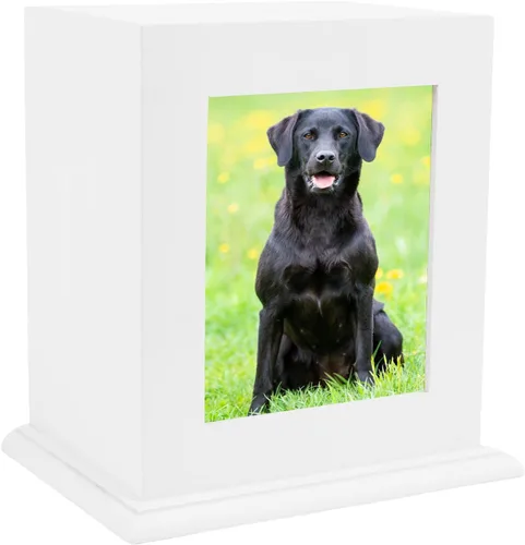 Vista 11 de Urna conmemorativa de madera para cenizas, marco de fotos, caja de recuerdo para gatos y perros, suministros de ataúdes funerarios, urnas