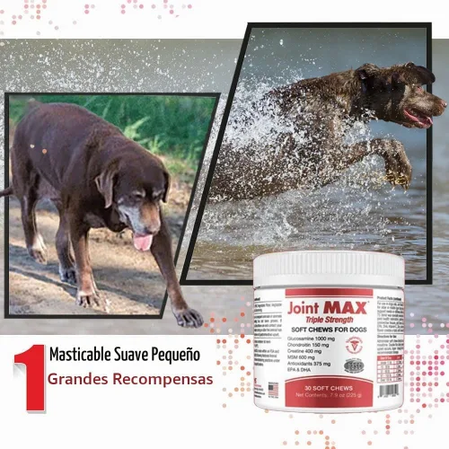Vista 9 de PHS Joint Max Triple Strength (TS) Masticables suaves para perros, glucosamina, condroitina, MSM, cúrcuma, Omega 3, alivio del dolor de cadera