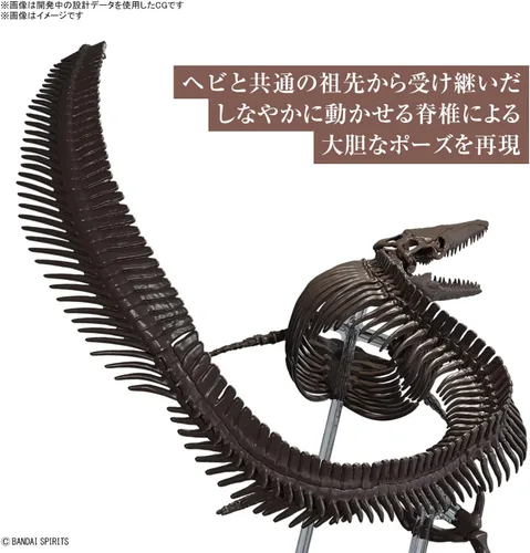 Vista 4 de Bandai Hobby Mosasaurus Imaginary Skeleton 1/32 Dinosaur Model Kit