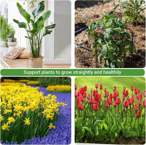 Vista 7 de Kikhope Estacas de soporte para plantas, paquete de 8 estacas de metal para jardín, jaula de soporte de peonía semicircular, soporte de bordes