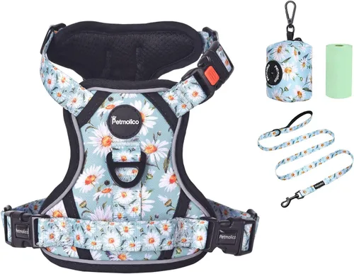 Vista 21 de Petmolico Juego de arnés para perro sin tirones con accesorio de correa, asa de fácil control, chaleco reflectante para razas pequeñas, chaleco
