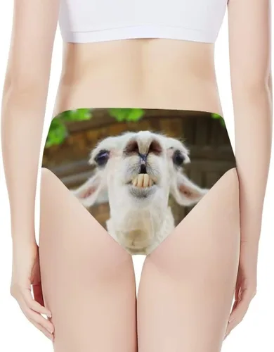 Vista 4 de Allinterest Ropa interior sexy y divertida con estampado travieso para mujer