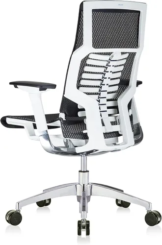 Vista 4 de POwerFIT Exec Silla Negro MESH ASIENTO Y Respaldo-Marco Blanco
