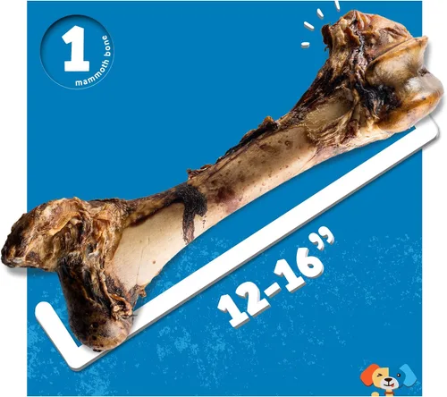 Vista 5 de Jack&Pup Mammoth - Huesos grandes para perros grandes, huesos de carne de fémur de 15 pulgadas para masticadores agresivos, hueso de perro gigante
