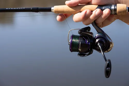 Vista 4 de DAIWA 24 Prorex X LT, carrete de pesca giratorio, arrastre frontal