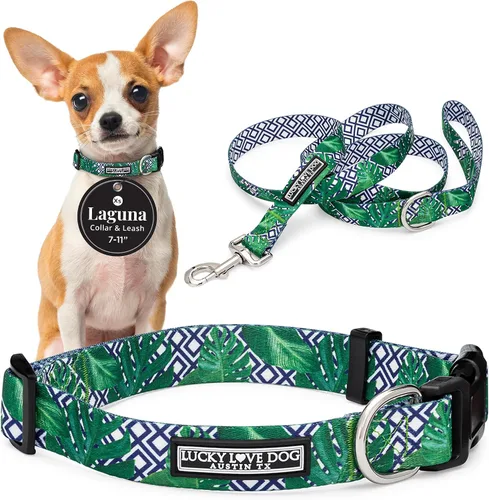 Vista 47 de Lucky Love Dog - Collar para perras pequeñas, diseño Blackbird de estampado alegre con flores de primavera y verano, talla XS Collar Blackbird