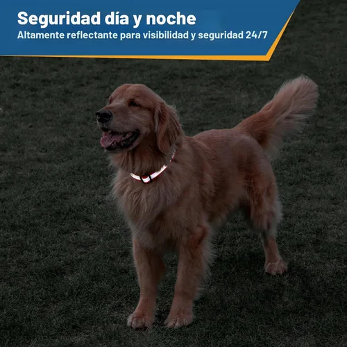 Vista 5 de GoTags Collar de perro personalizado reflectante, collar de seguridad Beige