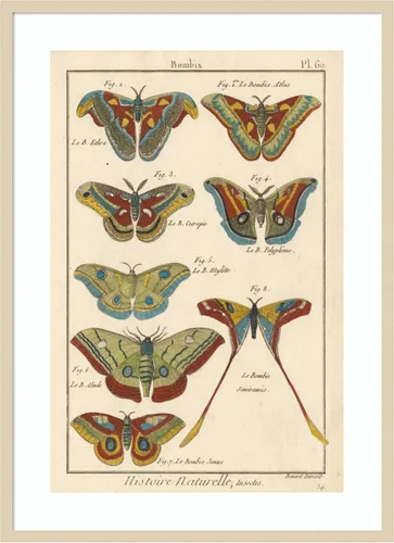 Vista 7 de Amanti Art Lienzo decorativo para pared enmarcado de 24 x 18 pulgadas, diseño de mariposas de naturaleza III de historia, arte de pared de animales