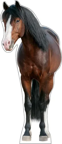 Vista 18 de Soporte de cartón de tamaño natural Impermeable Animales - Caballo - Izquierda
