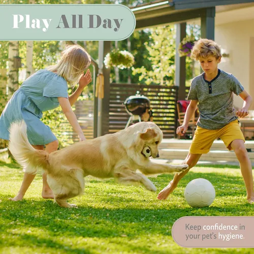 Vista 7 de Begley's Aerosol desenredante para mascotas, espray desenredante perfumado de aceite esencial de primera calidad para perros, cachorros y gatos