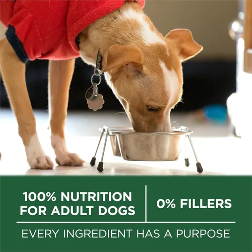 Vista 8 de Purina ONE Plus - Alimento seco para perros con fórmula de cordero y arroz de raza pequeña, bolsa de 3.8 libras