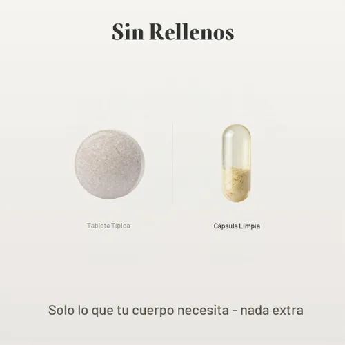 Vista 5 de Vita4Life!® Suplemento de hierro para apoyo diario Formulado para absorción Suave con el estómago Sin rellenos con vitamina C y B12