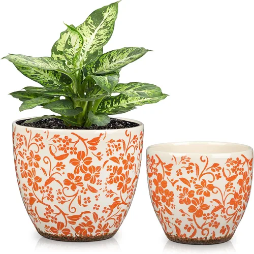 Vista 6 de Macetas decorativas azules y blancas, macetas de cerámica con acento dorado para plantas de interior, macetas con drenaje, maceta retro para floral
